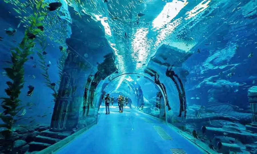 亚克力海底隧道的设计理念
