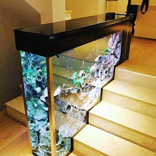 All You need to Know about Wall Aquarium in House!