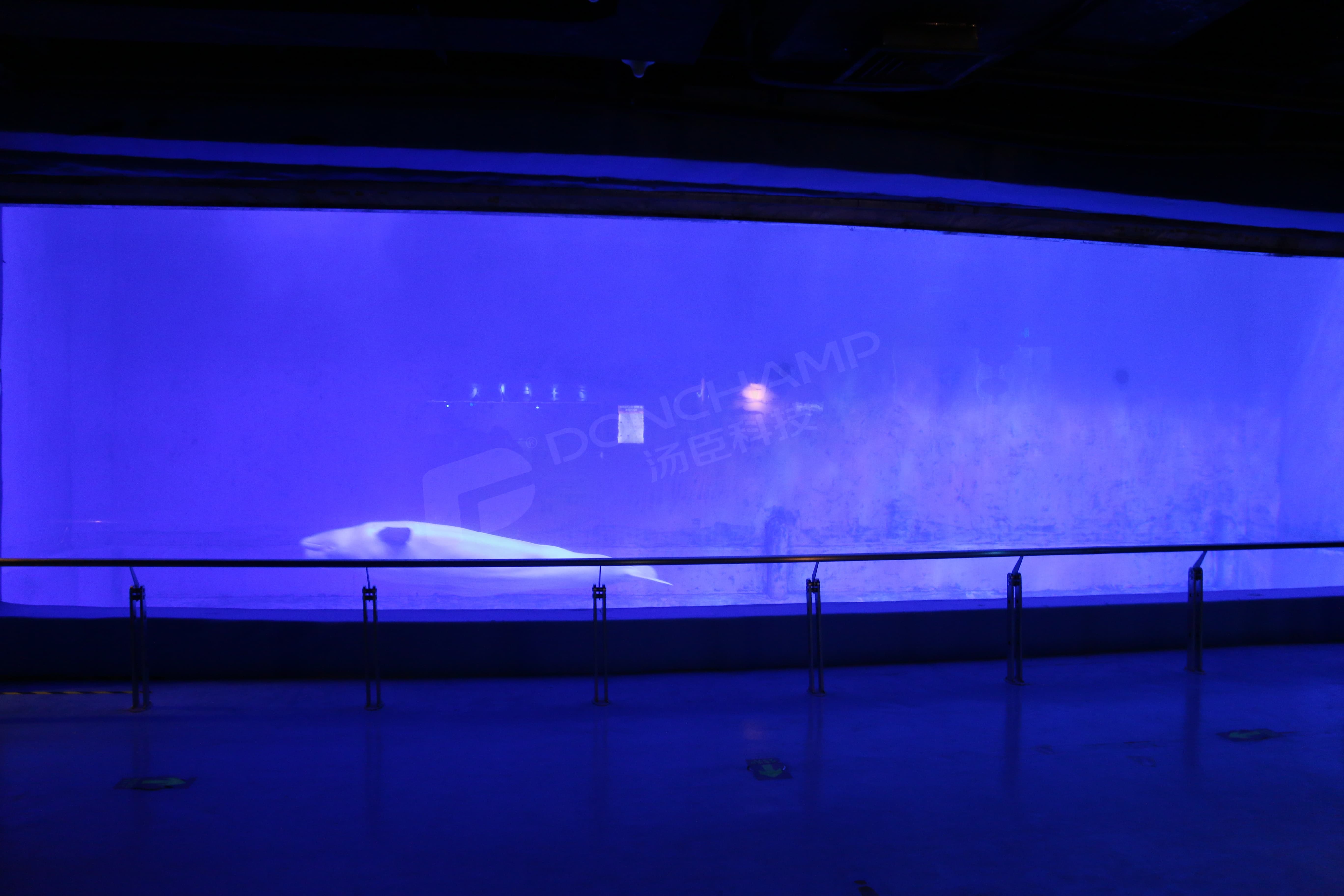 亚克力海洋馆视窗 (3).JPG