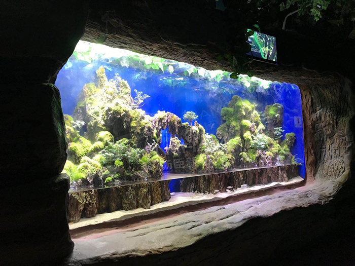 亚克力海洋馆视窗 (38)